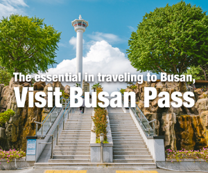Visit Busan Pass